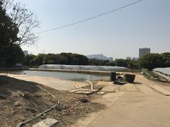 -胜丰草莓采摘园