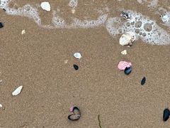 -金梦海湾浴场