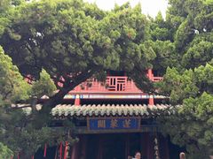 -蓬莱阁景区