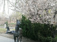 -元大都城垣遗址公园