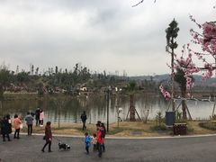 -枫香湖儿童公园