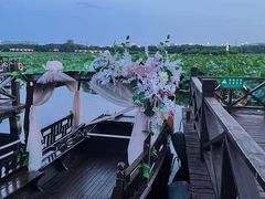 -荷塘月色湿地公园·向阳花洲