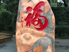 -北京鹫峰国家森林公园