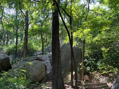 -鲁山国家森林公园