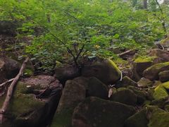-三块石国家森林公园