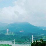 丛林里的探险，谁才是最勇敢的人？