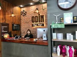 -ODIN 奥丁形象设计 