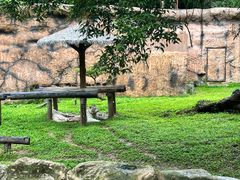 -清迈夜间动物园