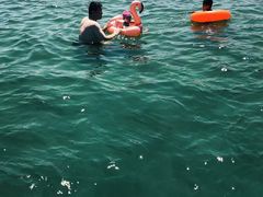 -北戴河圣蓝海洋公园