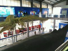 -上海海洋大学鱼文化博物馆(军工路校区)