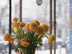-Onirii Coffee(长乐路店)