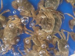 -阳澄湖大闸蟹·琼灵阁牌品牌连锁(吴中总店)