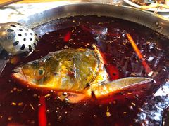 -蜀滋香鲜鱼美蛙火锅(339店)
