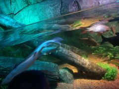 -沈阳海洋探索中心