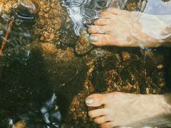 -素山寺森林公园