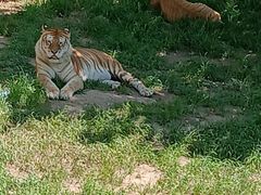 -西霞口神雕山野生动物世界