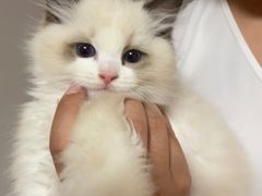 -美联众合24小时·皮肤科·外科·全科诊疗中心(华苑分院)