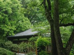 -杭州植物园