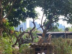 -熊猫自助餐厅.萌趣城堡(长隆熊猫酒店)