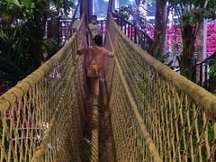 -正佳雨林生态植物园