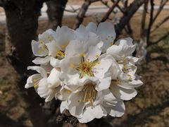 -水西公园