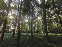 -成都杜甫草堂博物馆