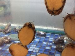 -金穗园·砂锅粥.醉鸡煲火锅(长寿路店)