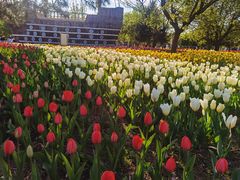 -长春公园(普阳街道)