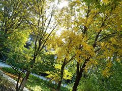 -北京工商大学(良乡校区)