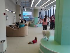 -怪兽屋·羊驼·猫咖·狗咖(俊华广场店)