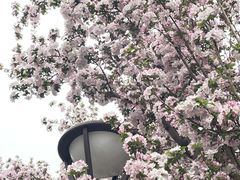 -元大都城垣遗址公园