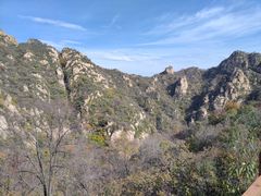 -大岭沟猕猴桃谷风景区