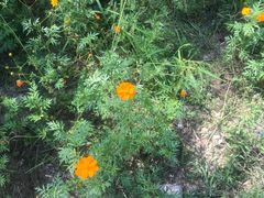 -宁波浙东大竹海景区