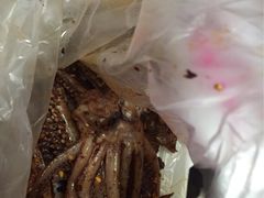 -水一方现烤鱿鱼丝大连特产(高新苏宁百货店)