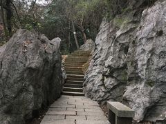 -九曜山