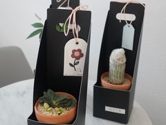 -卓花境Flowerwonderland花店