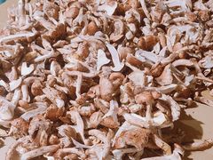 -小志家.野生菌鲜切牦牛肉牛杂火锅