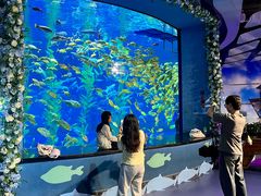 -南昌融创海世界