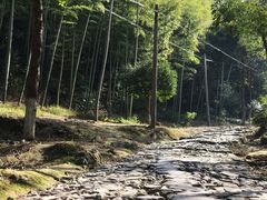 -仙霞关景区