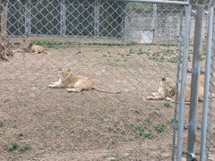 -西安秦岭野生动物园