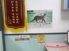 -嘉馨宠物医院·CT影像转诊·心脏科·犬猫全科诊疗中心(下沙大学城院区)
