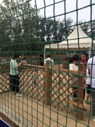 -萌宠亲子动物乐园(槐房万达店)