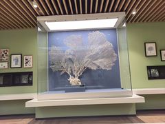 -中国湿地博物馆