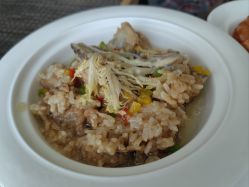 -臻康乃馨月子中心(凯宾斯基店)