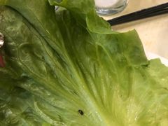 -石记东北风味烤肉(系马桩第二分店)