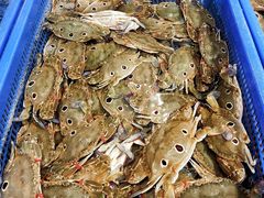 -盒马鲜生(曜一城店)