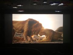 -天幕新彩云国际影城(激光巨幕店)