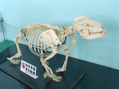 -沈阳森林动物园