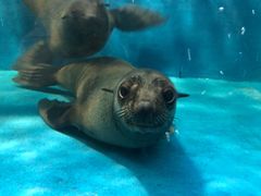 -成都浩海立方海洋公园