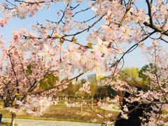 -江南大学(蠡湖校区)
